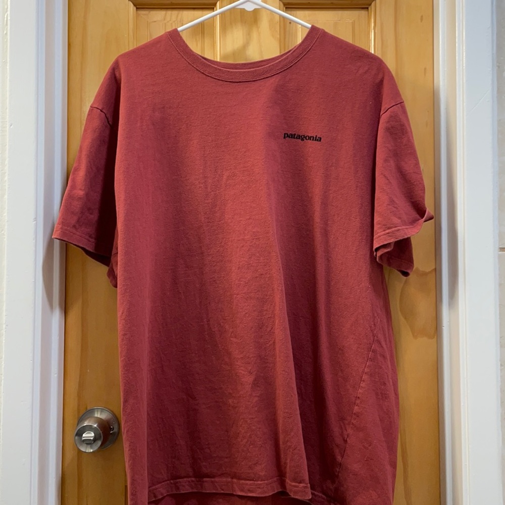 Patagonia T-shirt